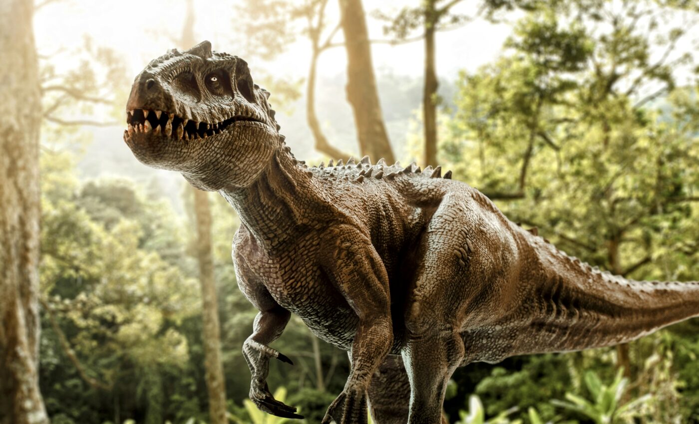 Oldest belly button known to science found in a dinosaur