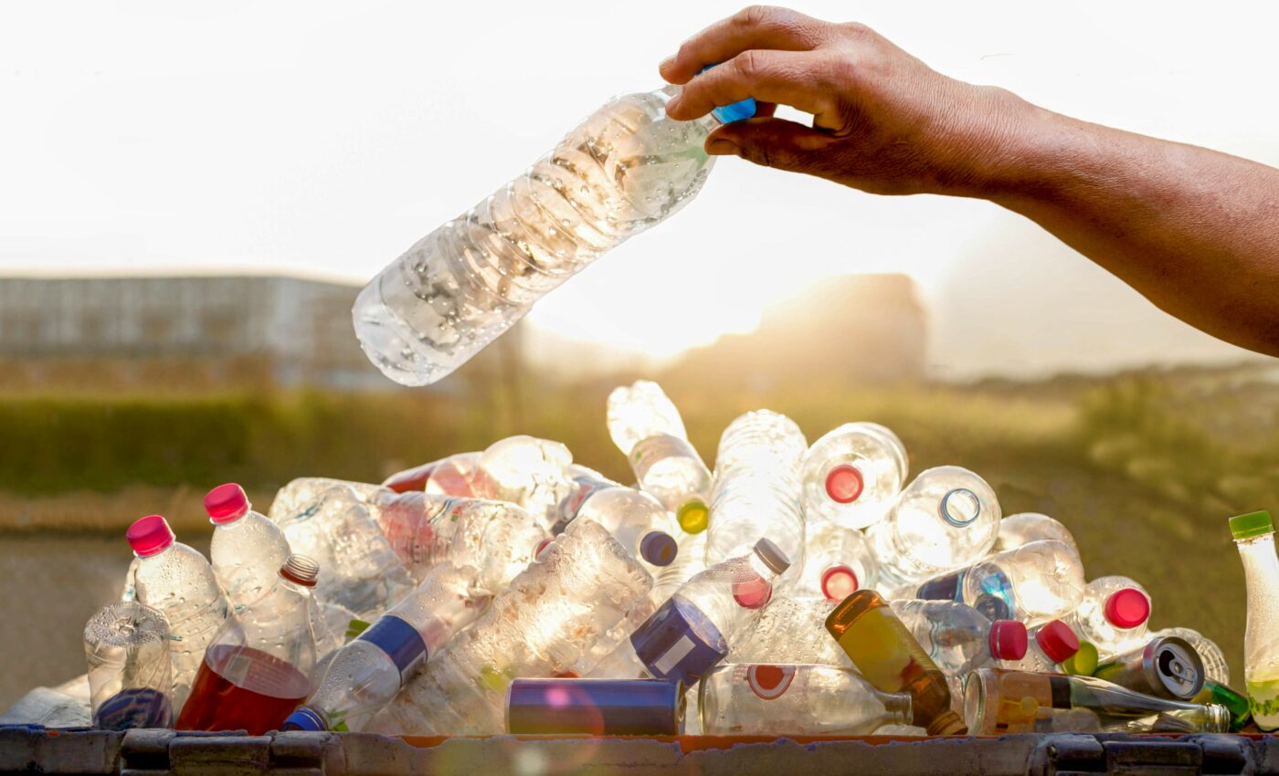 PET-like plastics have been created from biomass waste
