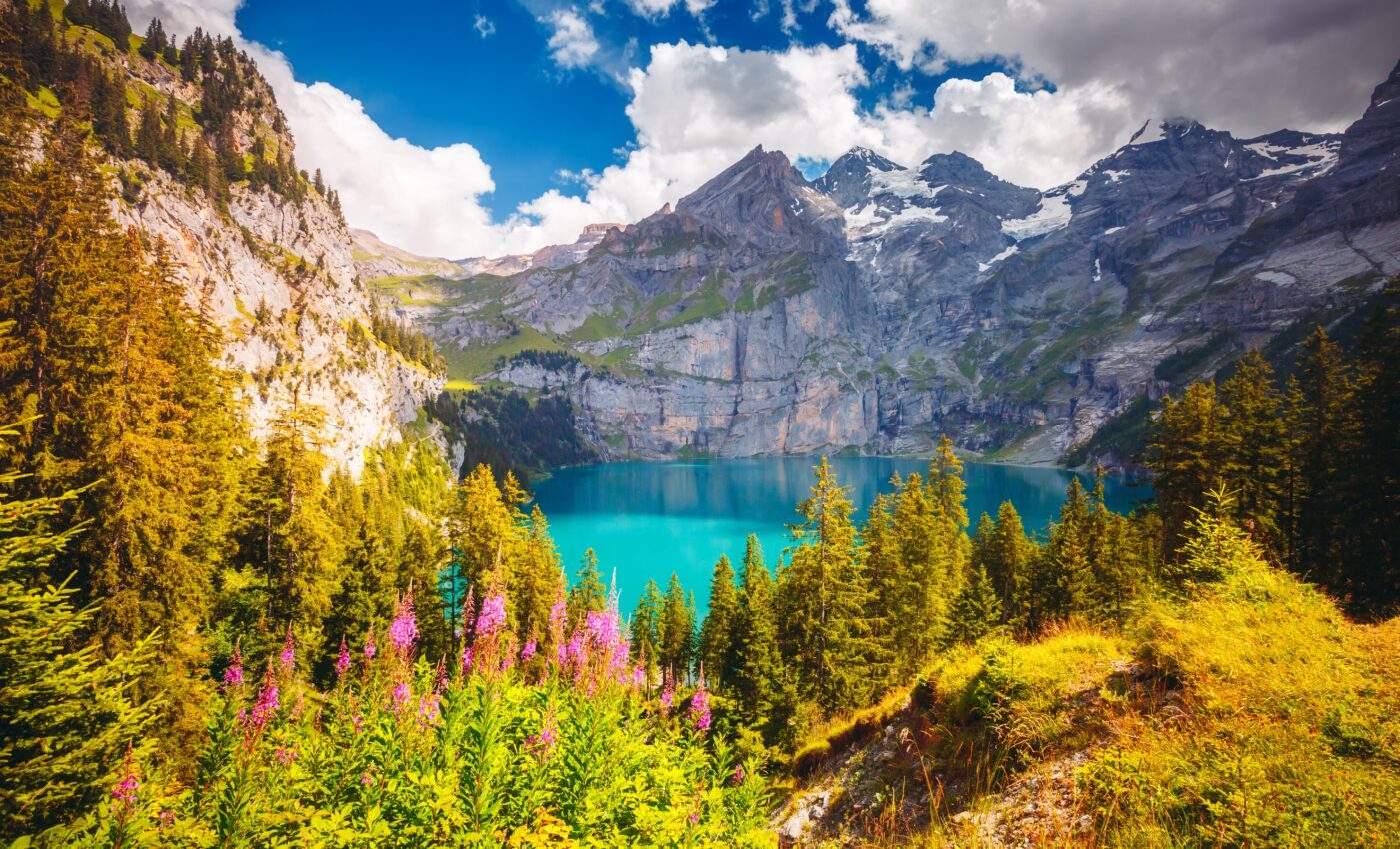 World Conservation Day: Can we stop the biodiversity crisis?