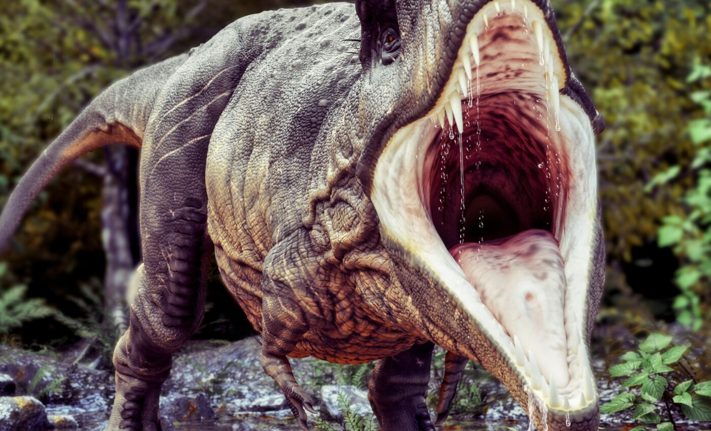 Newly discovered dinosaur had tiny arms like T. Rex