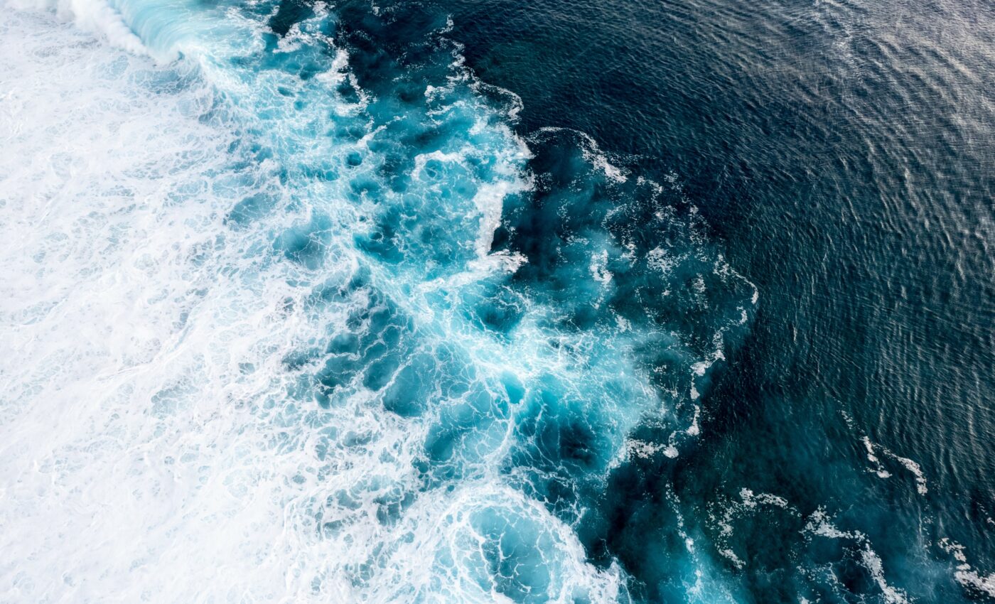 Shifting ocean conditions influence Chago whale migrations