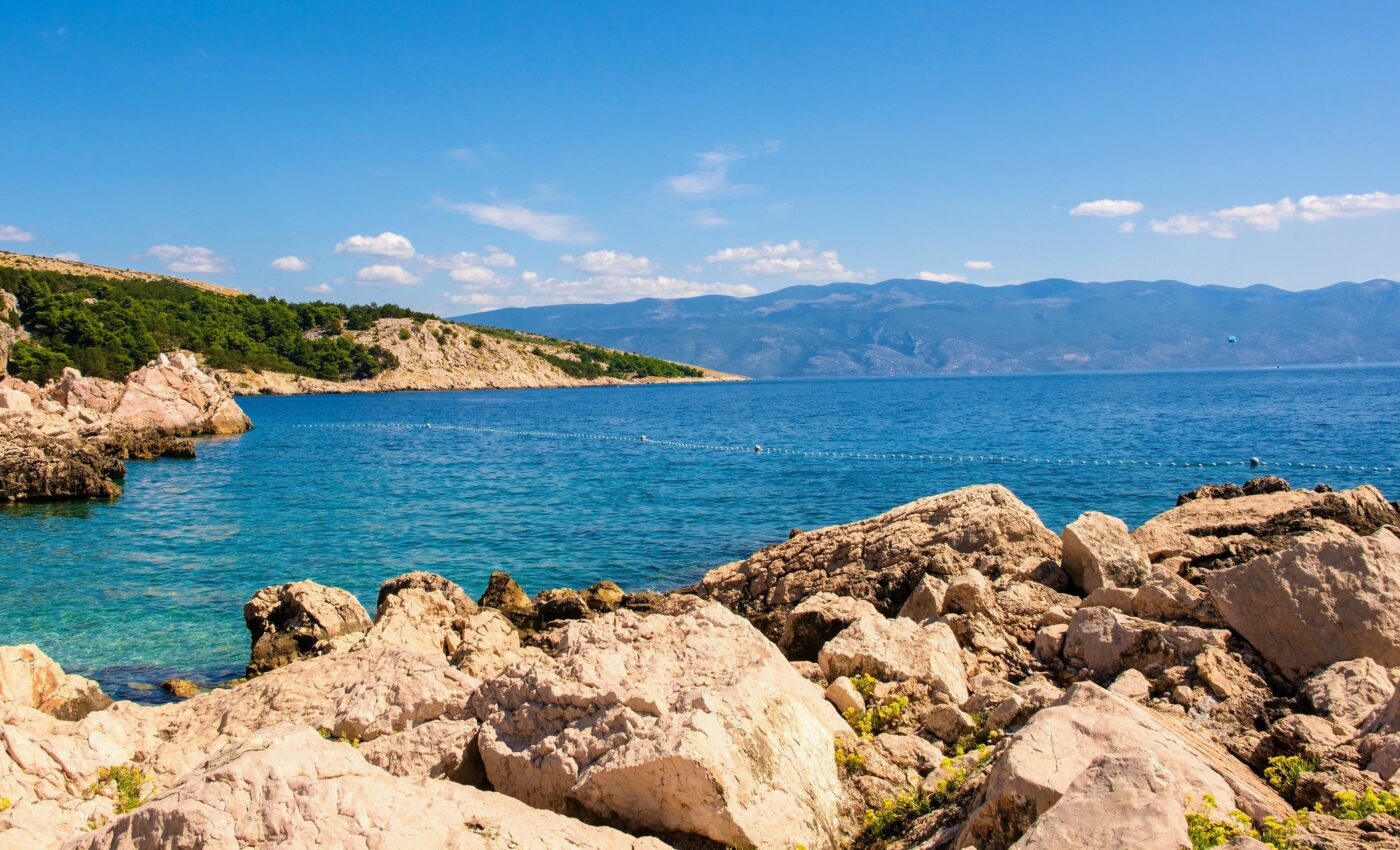 Tiny crustaceans have what it takes to survive climate change