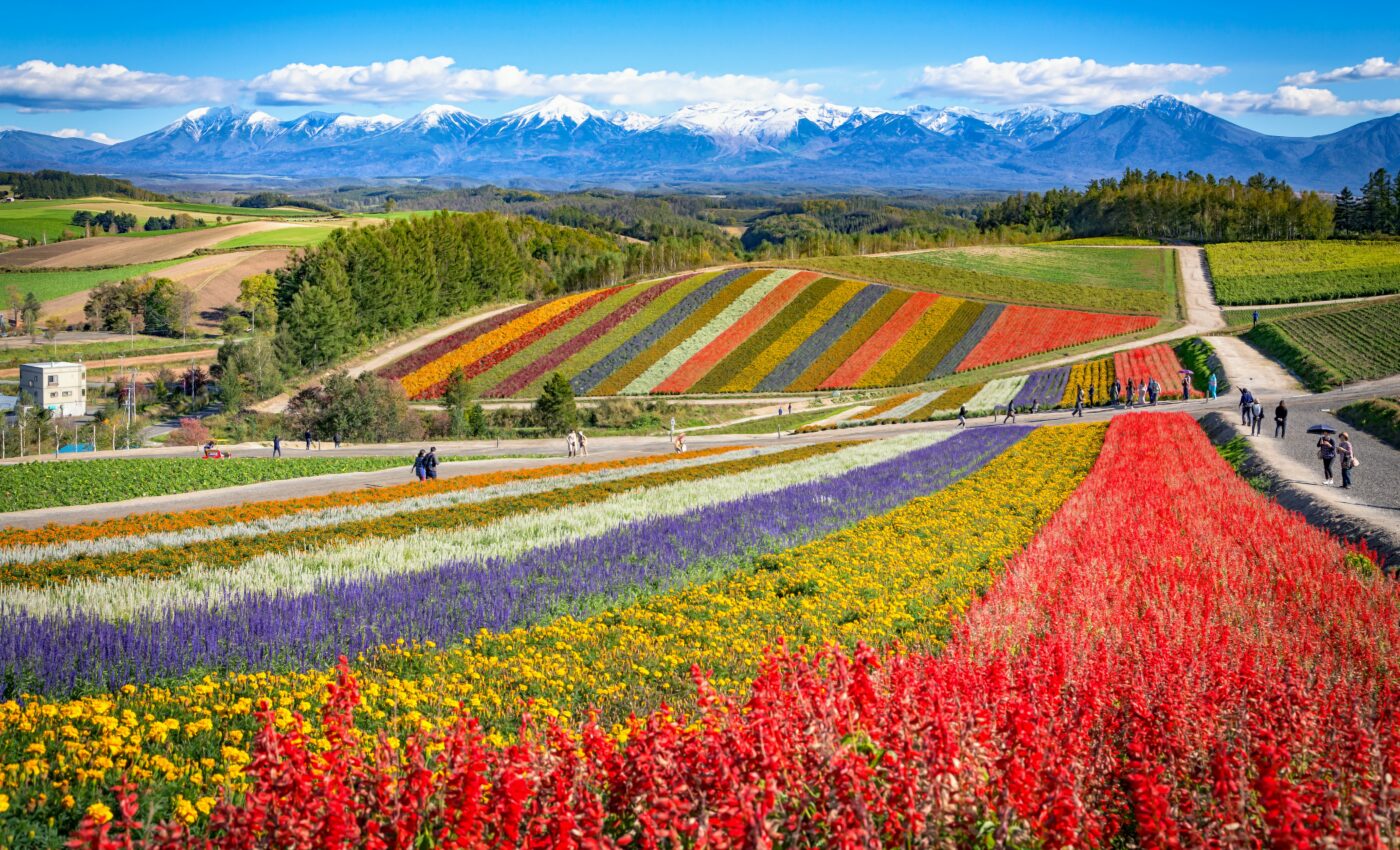 Agricultural diversity has a positive impact on food security