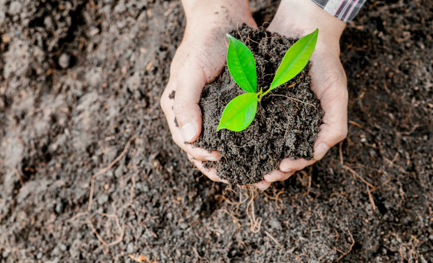 Tropical soils may be deeply changed by global warming