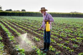 Weeds are becoming increasingly resistant to herbicides