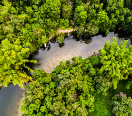 Aerial,View,Of,Amazon,Rainforest,,South,America