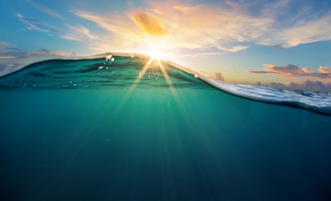 Marine plankton hold a long record of ocean health