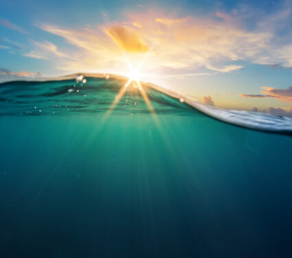 Abstract,Ocean,Design,Template,With,Underwater,Part,And,Sunset,Skylight