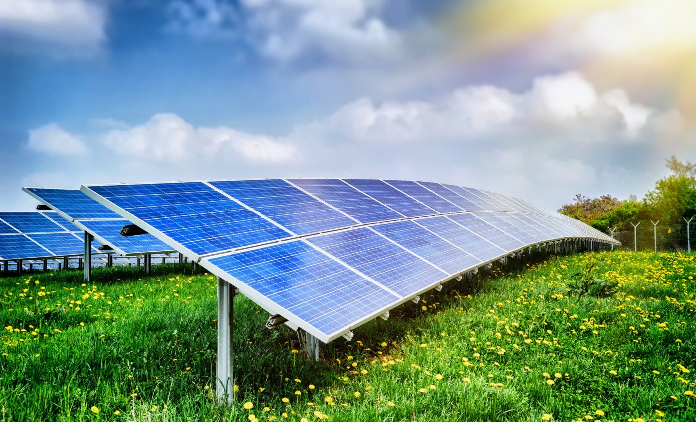 Growing crops at solar farms increases panel efficiency