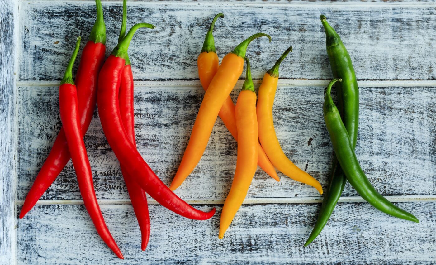 Fossil sheds new light on the history and evolution of chili peppers