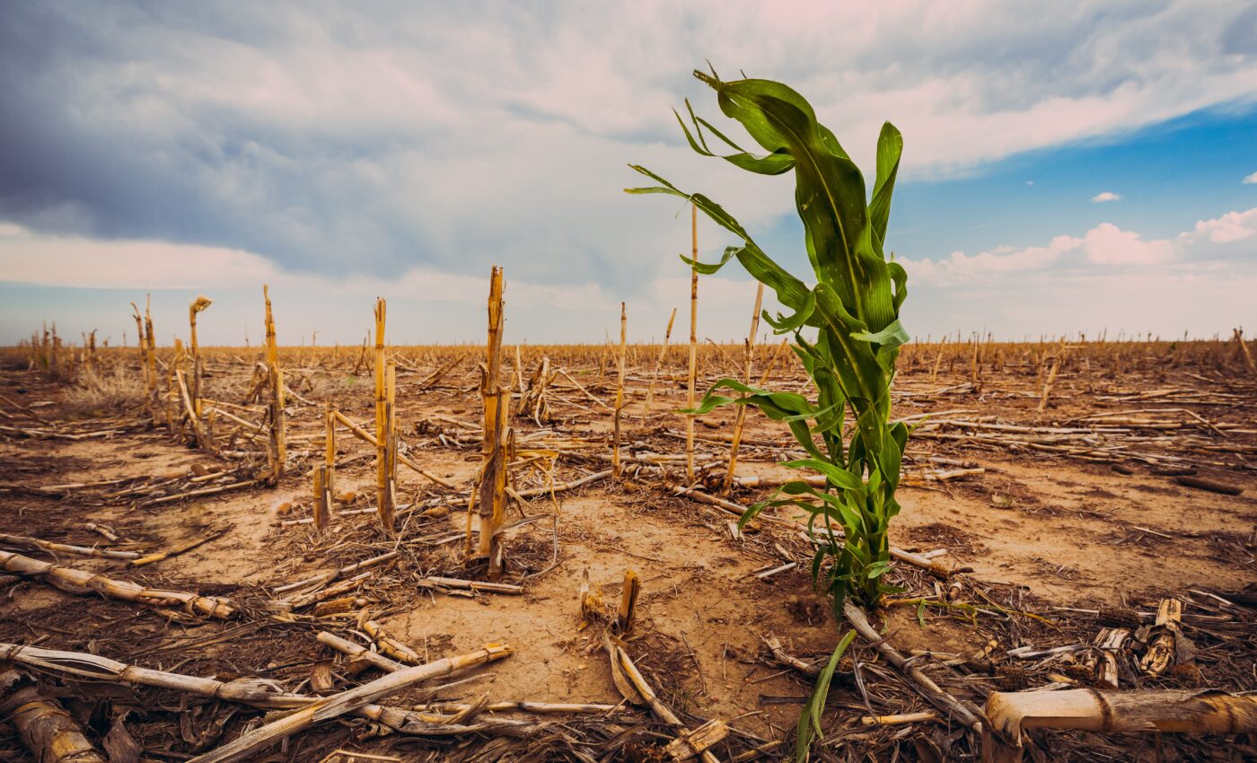 Flash droughts are increasing around the world due to warming climate