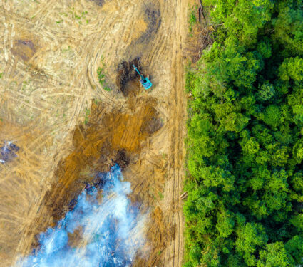 Aerial,View,Of,Deforestation.,Rainforest,Being,Removed,To,Make,Way