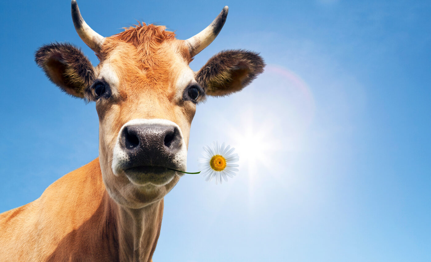 Increasing plant-based food production would have extremely positive impact