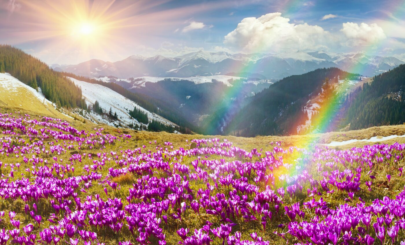 Nature's true survivors: Flowering plants lived through the dinosaur extinction