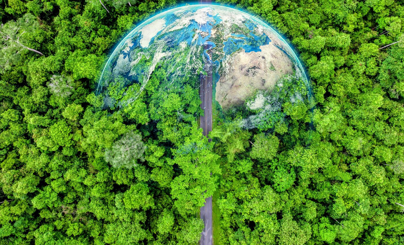 Emerging diseases threaten trees globally, and the trend is escalating