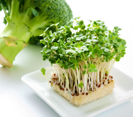 Broccoli,And,Broccoli,Sprout,On,White,Background.