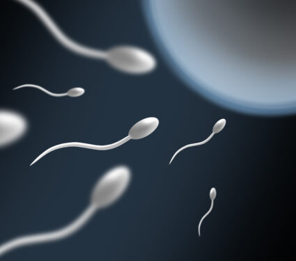 Sperm,Movement,To,The,Ovum.,Over,Black,Background.
