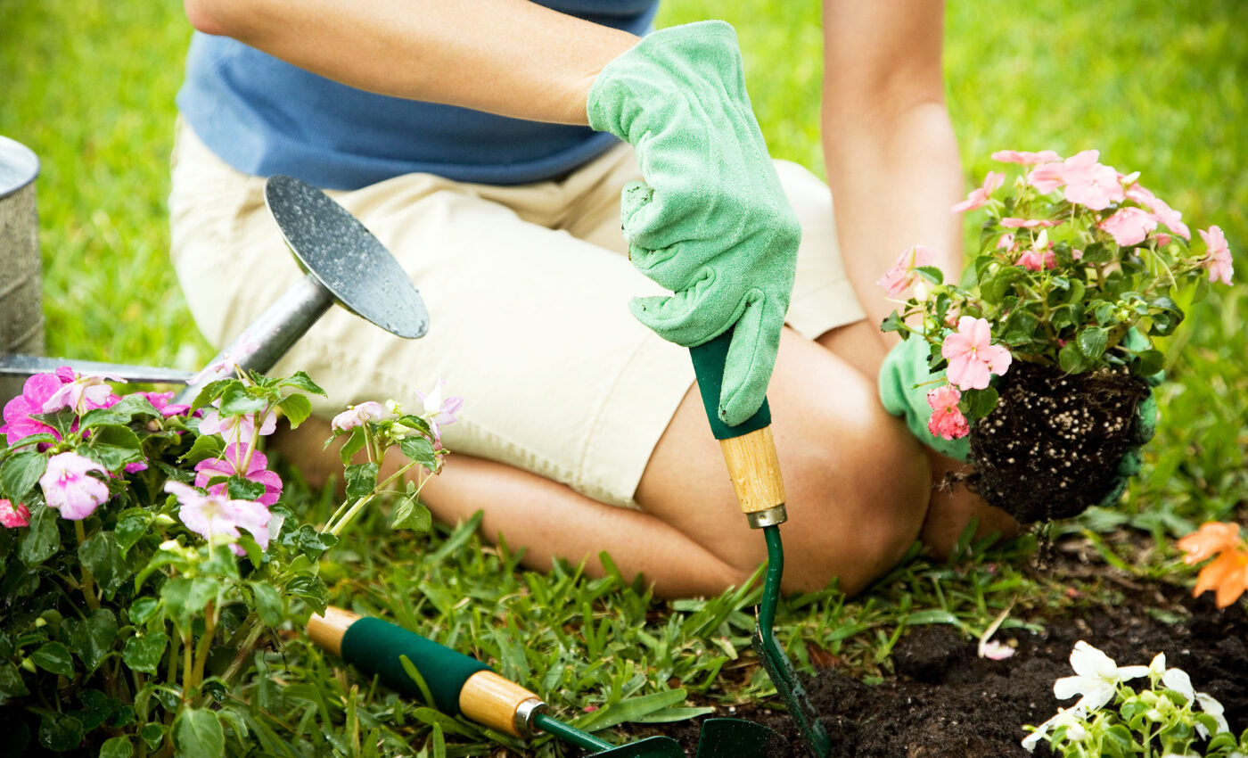 New ‘Plant Hardiness Zone’ map released by the USDA