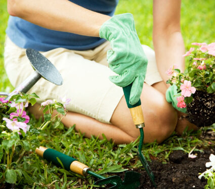 Cropped,Image,Of,Woman,Gardening
