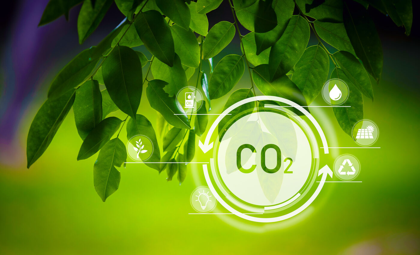Plants are absorbing more human-produced carbon dioxide than expected