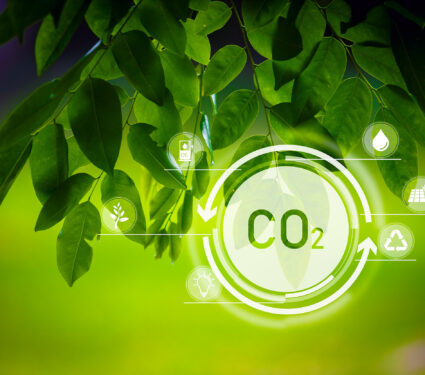 Carbon,Dioxide,Or,Co2,Is,Colorless,Gas.,Which,Inhaling,This