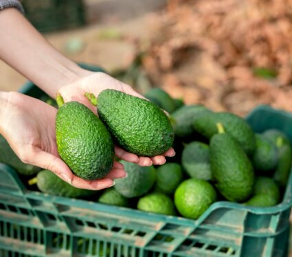 Avocados-.jpg