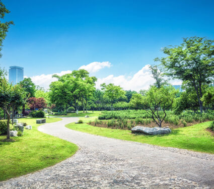 Nice,Green,Forest,Landscape,In,The,City