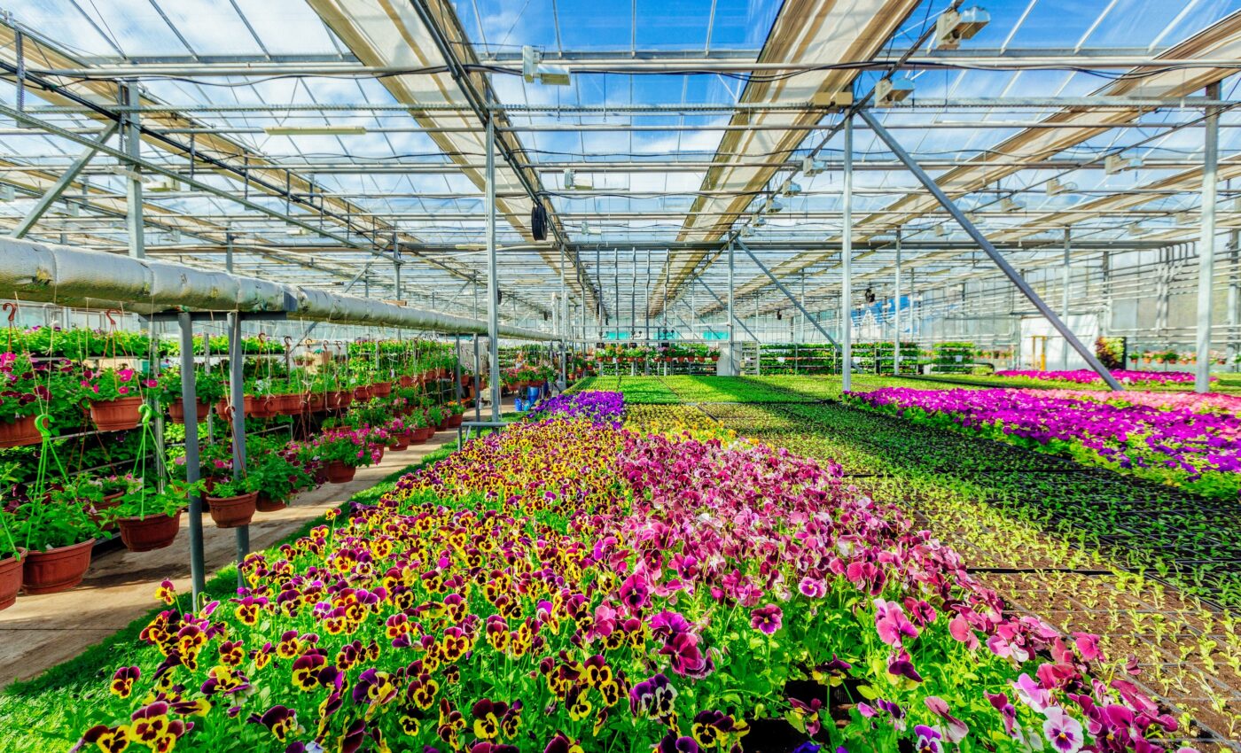 Plant nurseries are the primary pathway for introducing invasive species