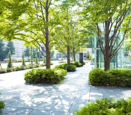 Urban,Landscape,And,Trees