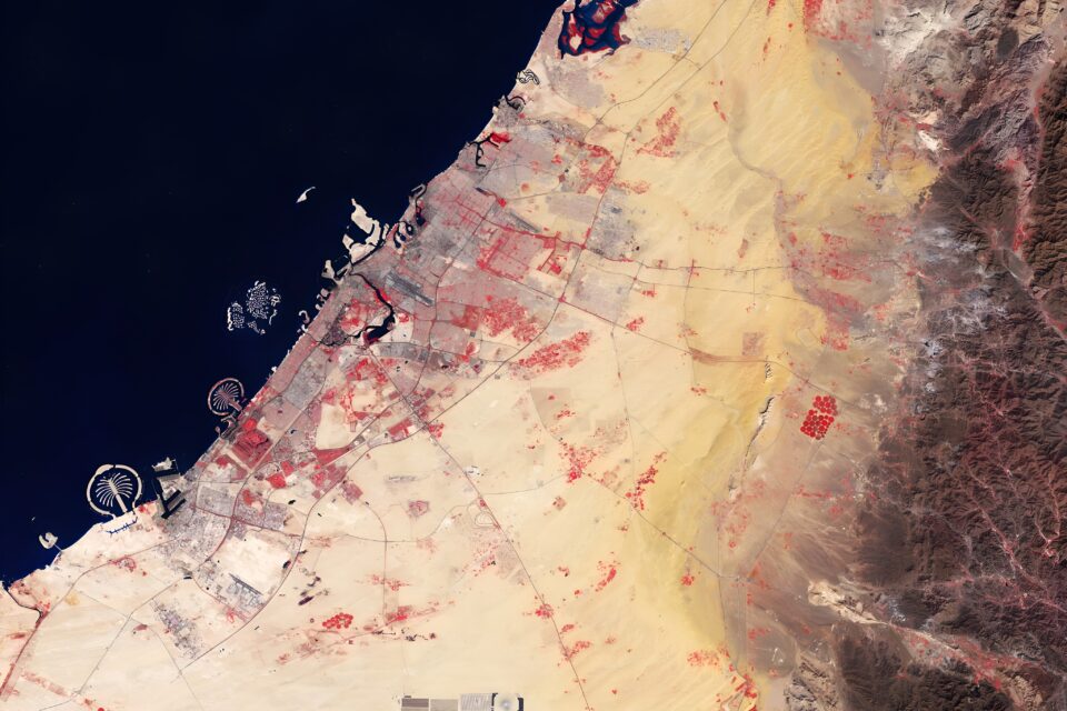 The city of Dubai in the United Arab Emirates