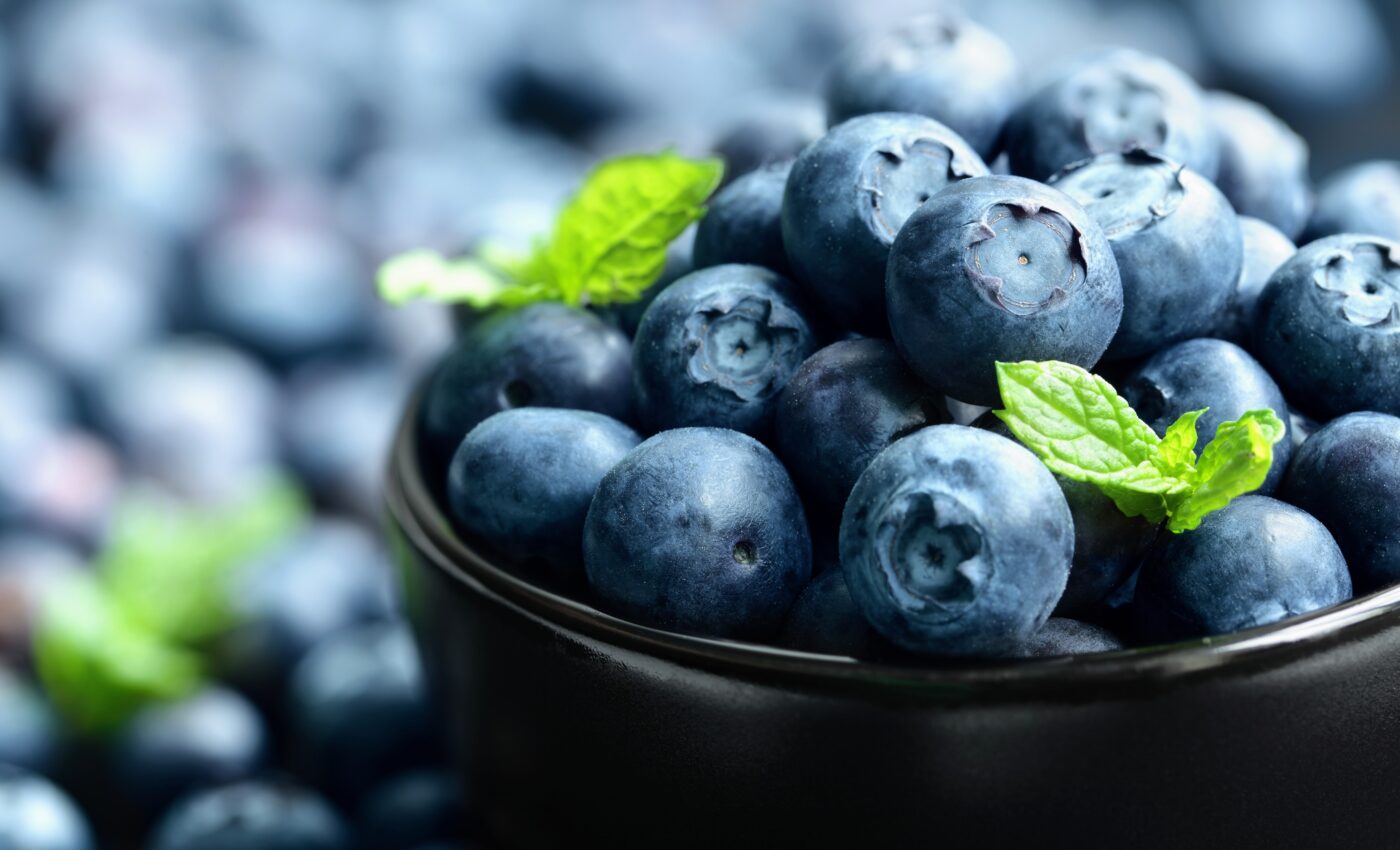 Study reveals why blueberries are blue