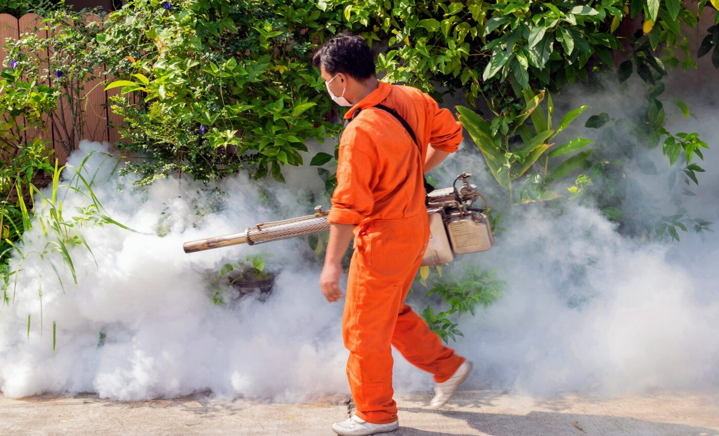 Exposure to DDT alters sperm, putting children at risk