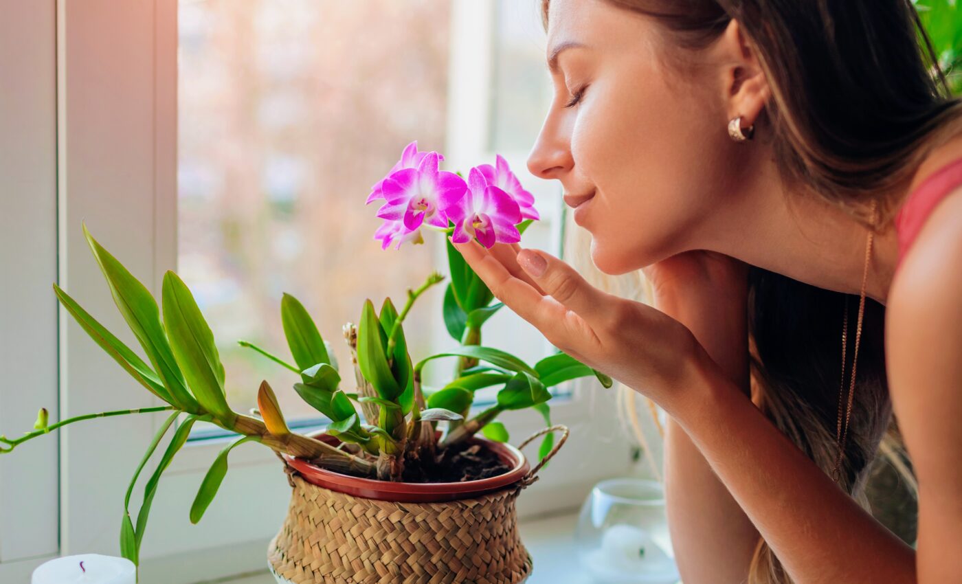 Unlocking memories with scents may help treat depression