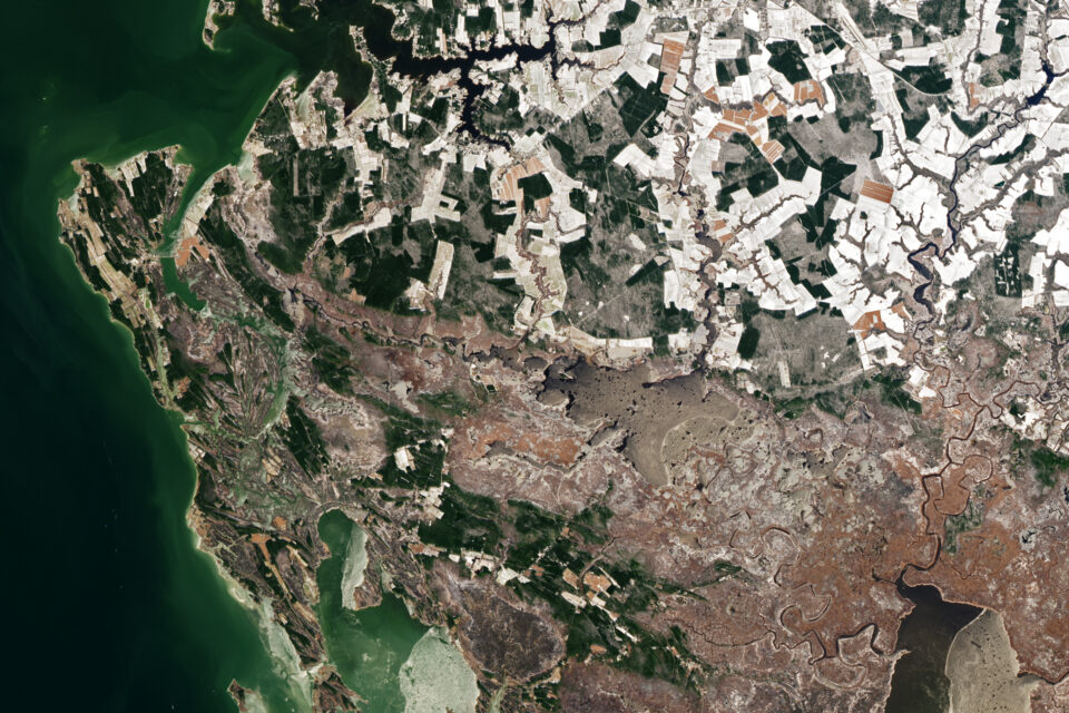 Dorchester County and the legacy of a great American hero