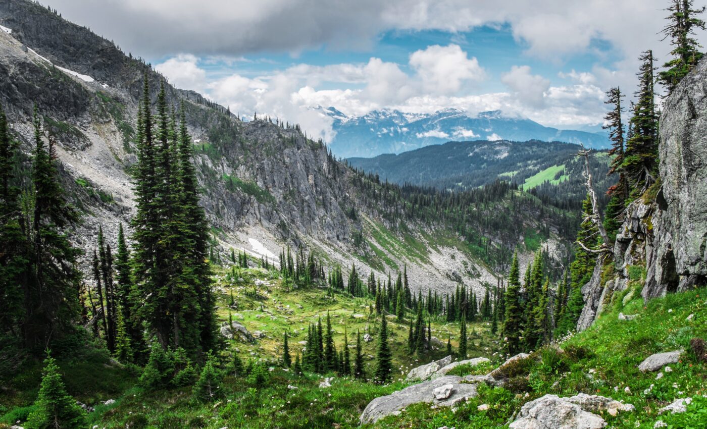 Fungi in boreal forests are sensitive to climate change