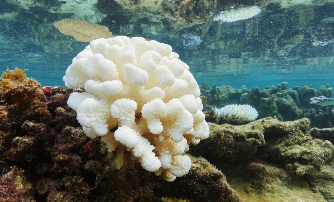 El Niño event may push Earth towards its hottest year ever