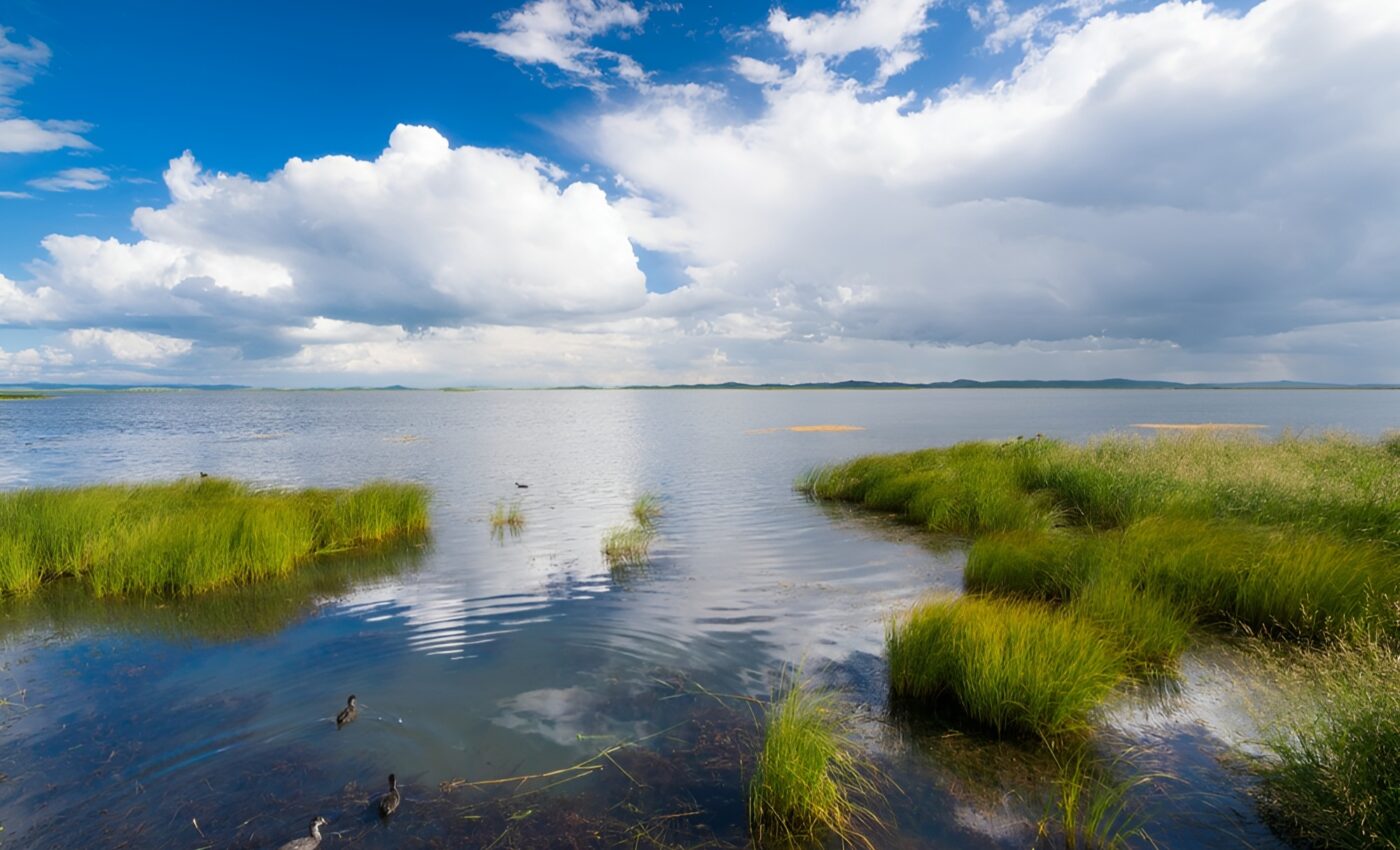 Tidal wetlands have enormous climate change mitigation potential