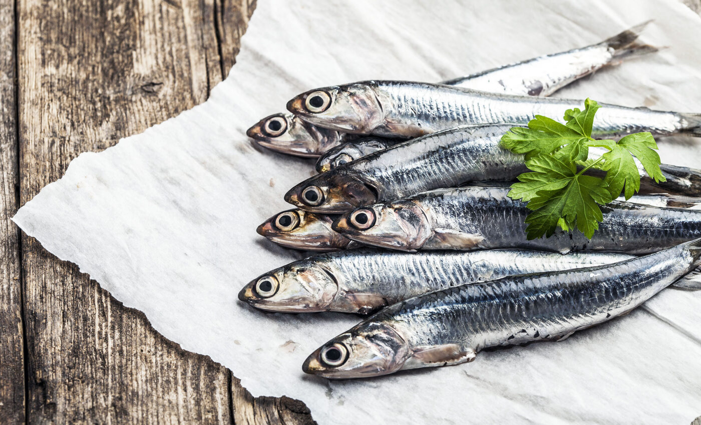 Study: Humans should eat the same diet that farmed salmon eat