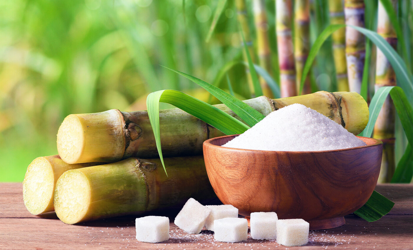 Sugarcane’s genome is finally mapped and ready for new breeding era