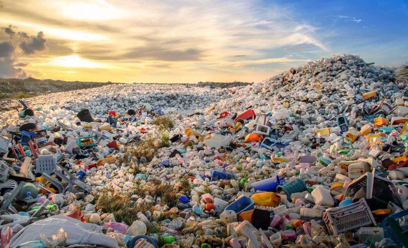 International Day of Zero Waste: A global commitment to a sustainable future