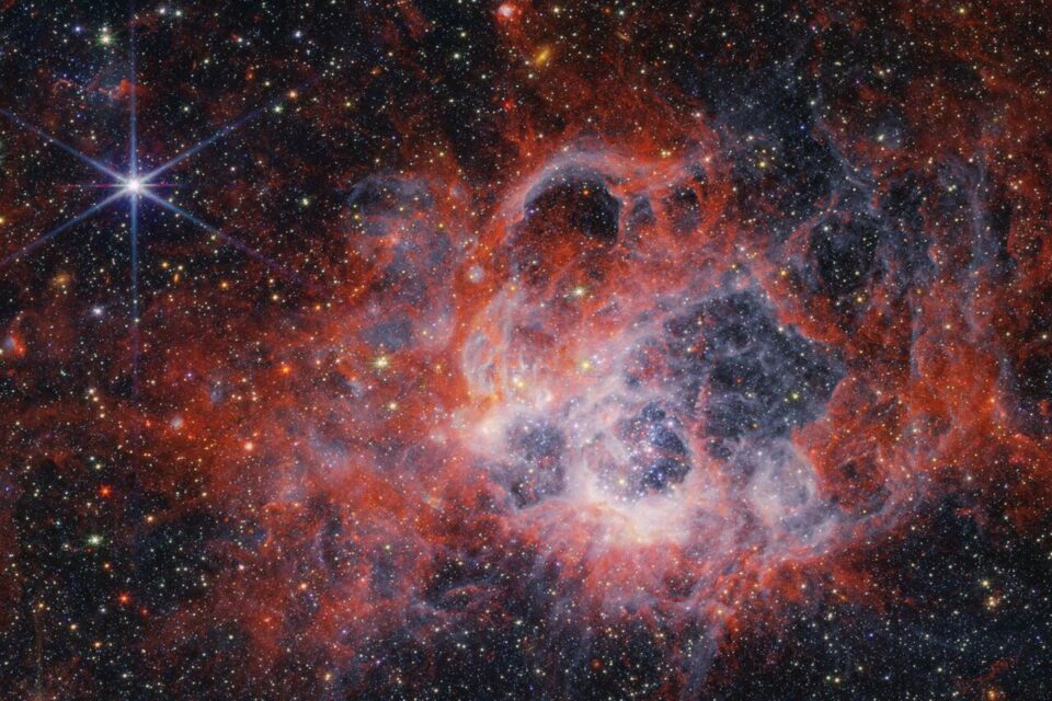Young, massive stars in the Triangulum Galaxy