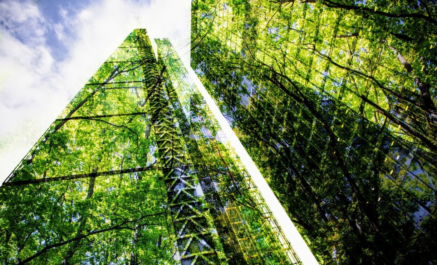 Nature-based climate solutions are now more critical than ever