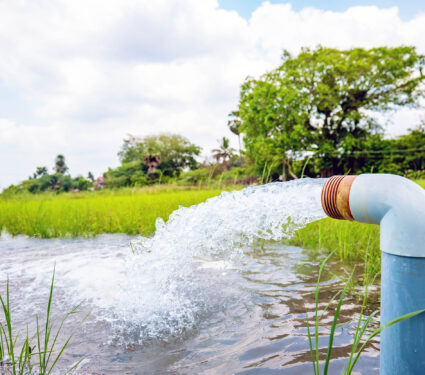 Watering,Rice,Fields,With,Free,Electricity,In,India,-,Water