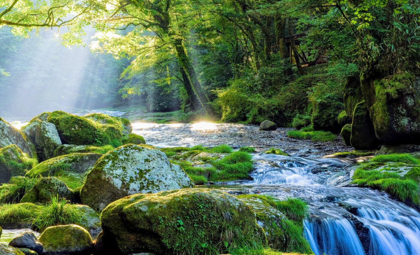 Iconic American rivers are threatened by severe pollution