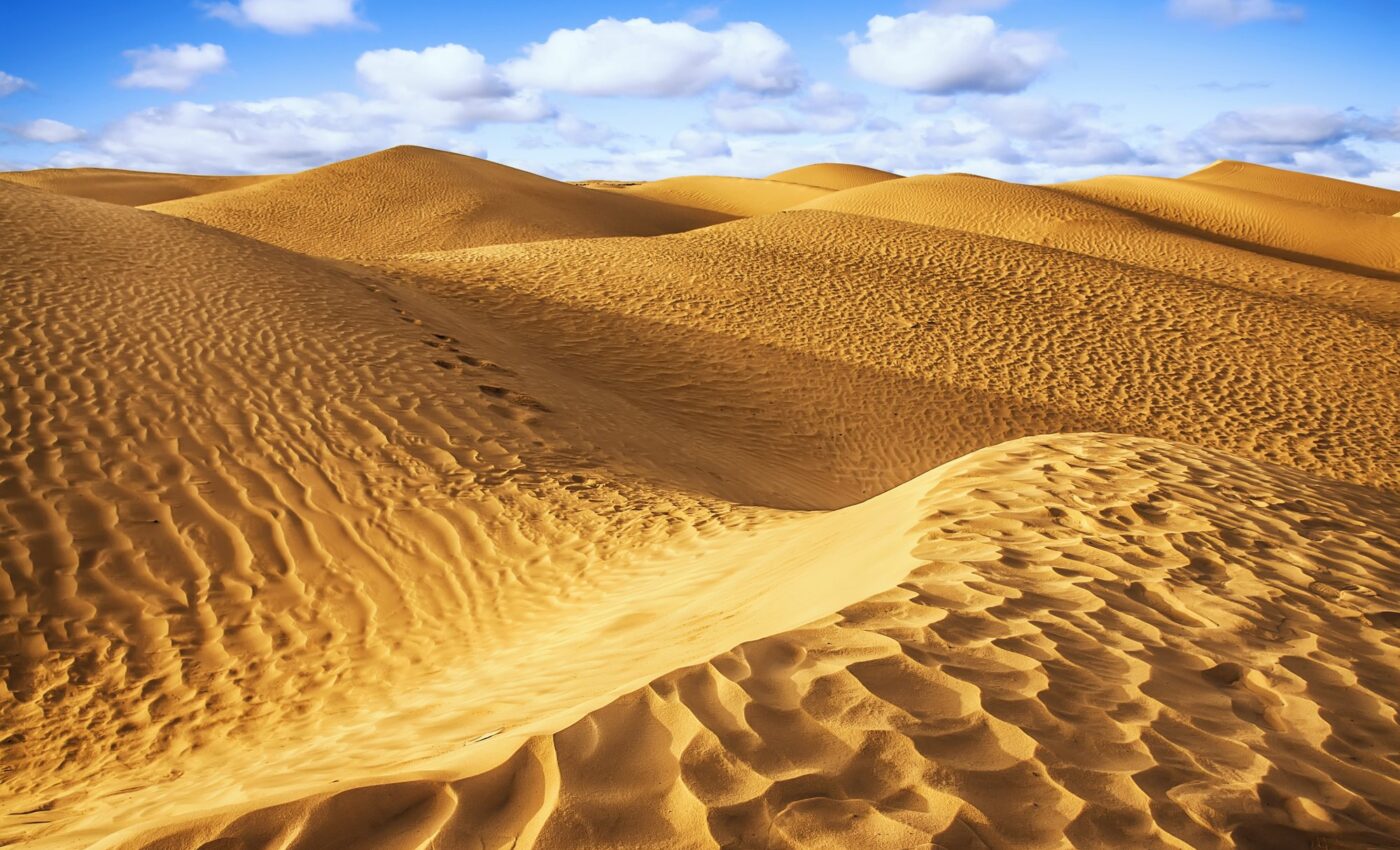 Soil microbes survive the desert by 'sleeping' through the dry spells