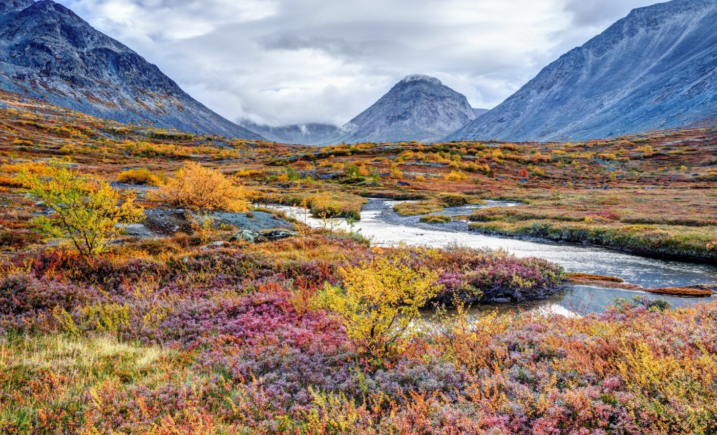 Warming climate turns tundra from carbon sink to source