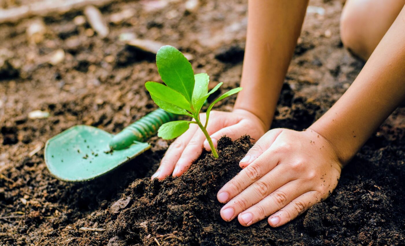 Arbor Day: Honoring the guardians of our environment