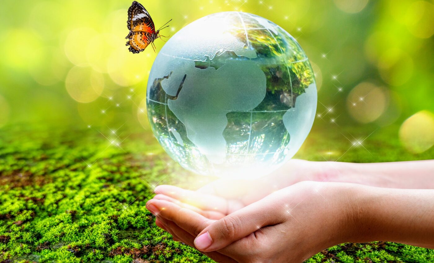 Effective conservation efforts are key to saving biodiversity