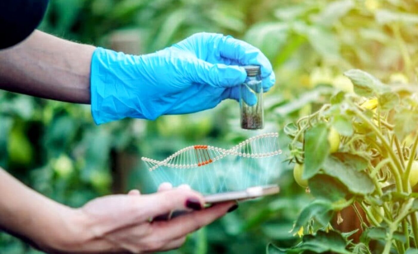 Boosting crop colors with gene editing can improve weed control