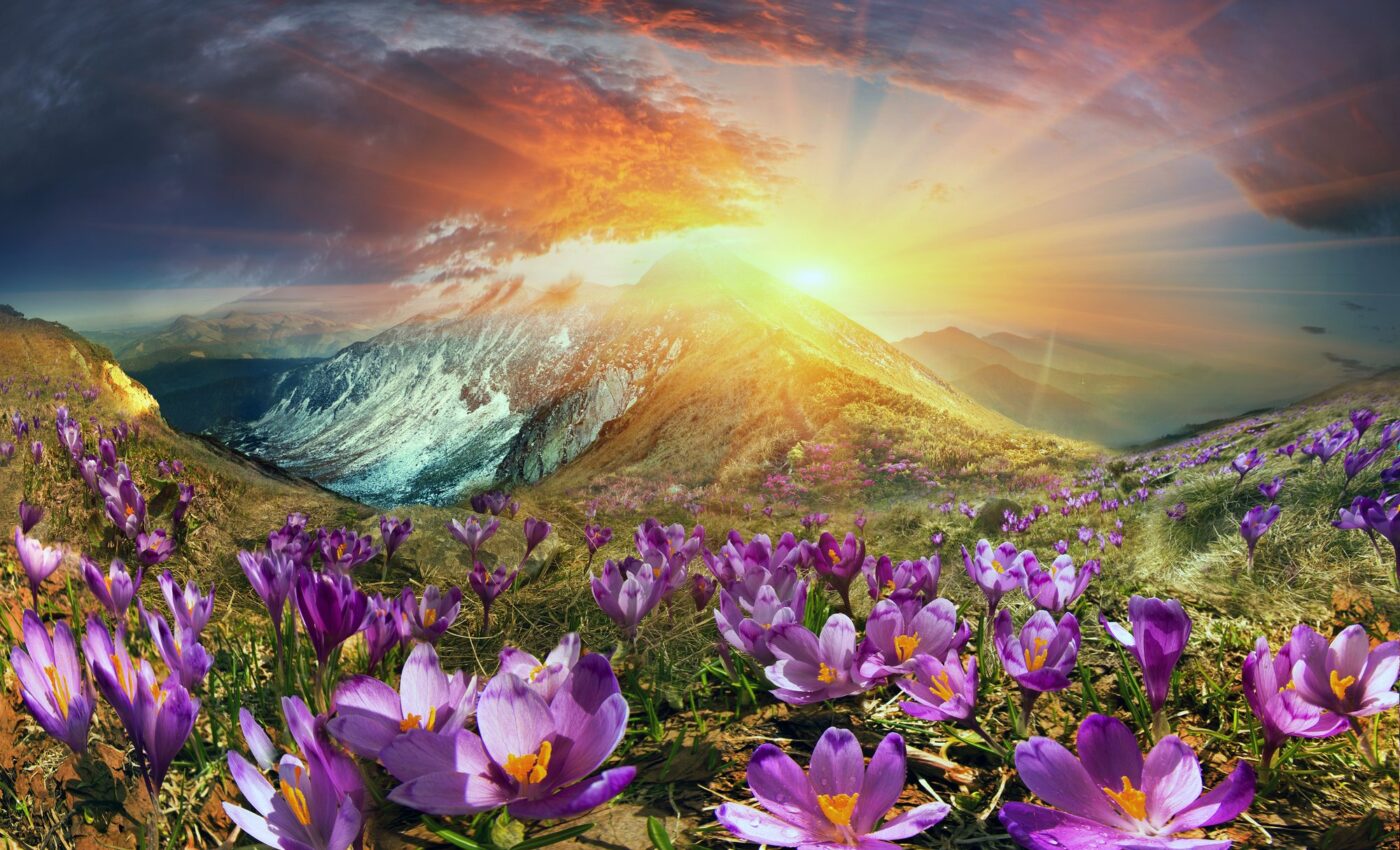 April's record heat extends an alarming climate trend